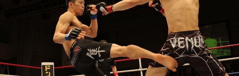 MMA Kickboxing Sambo