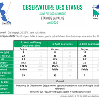 Observatoire de l'étang de La Palme